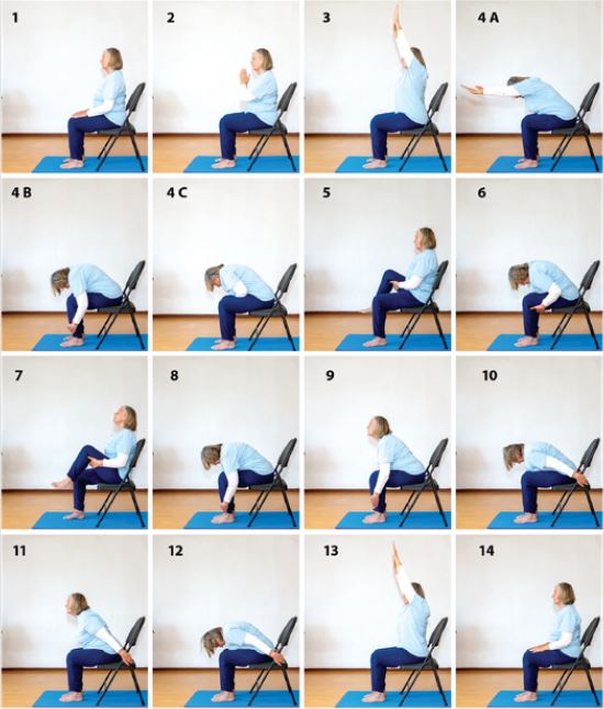 5 Chair Yoga Poses for All Ages and Practice Levels  DoYou