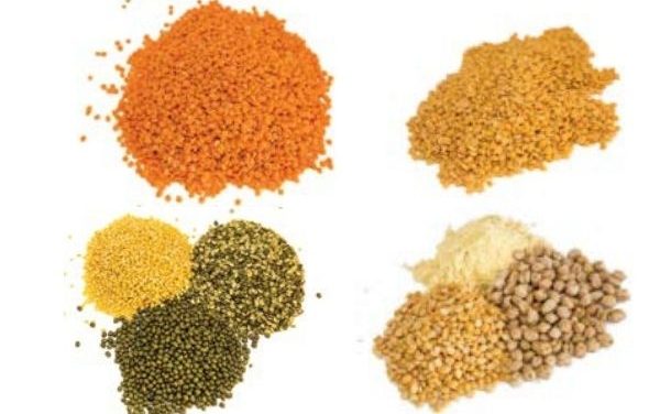 Take the Pulses on India